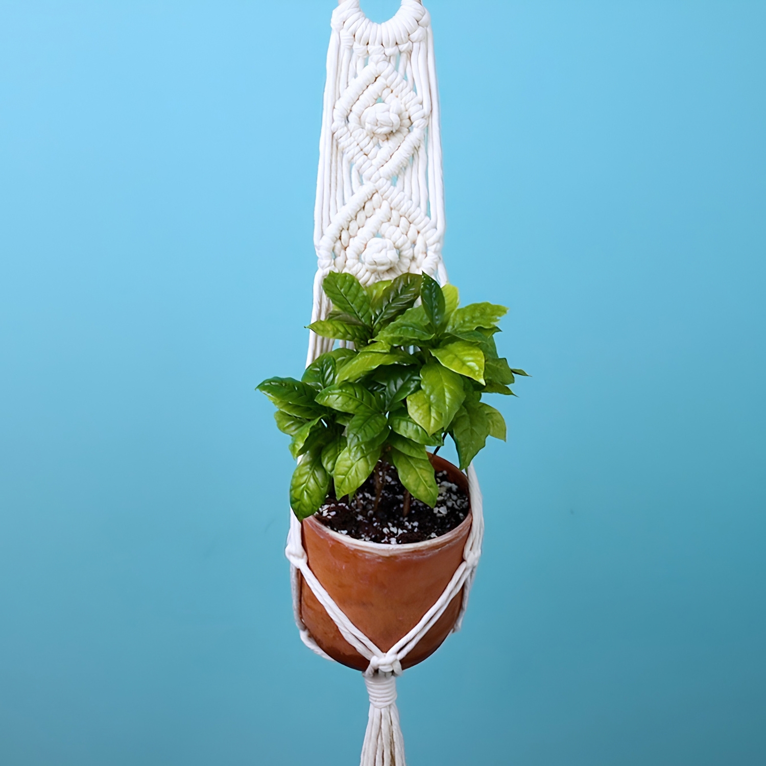 Double Diamond Plant Hanger