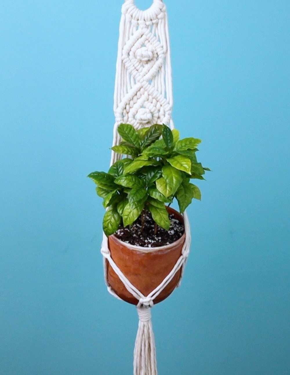 Finished Double Diamond Plant Hanger project